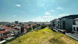 Frankel Estate (D15), Terrace #545955271